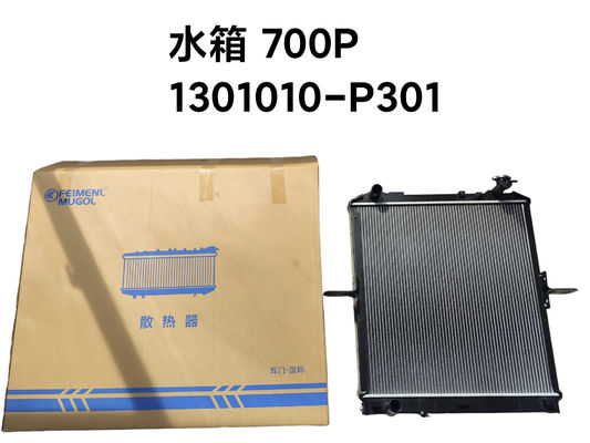 Feimenl Mugol Zgromadzenie grzejnika ISUZU NPR NQR 4HK1,1301010-P301