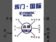 Guangdong Federal-Mogul Industrial Co., Ltd. Wprowadzenie produktu